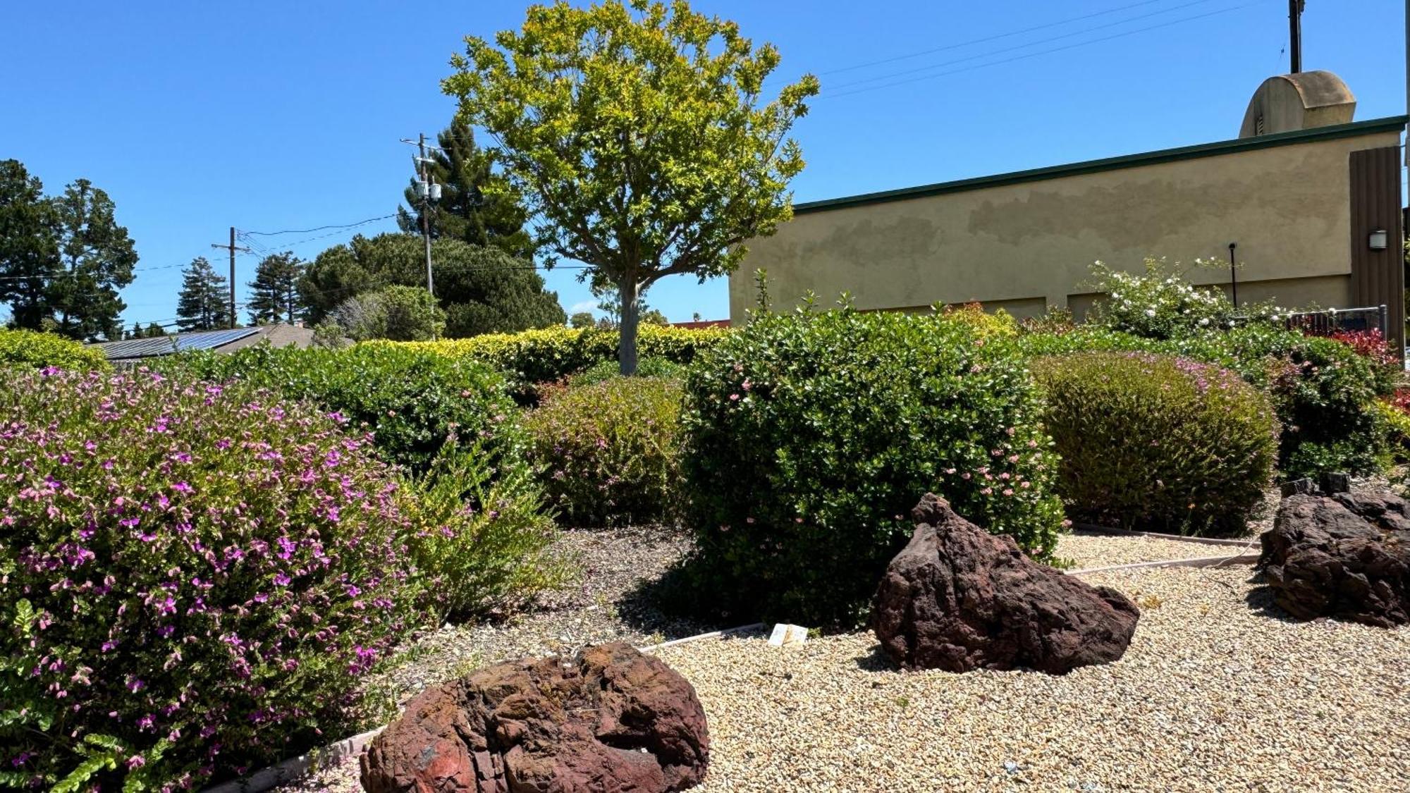 Hitching Post Studios Inn Santa Cruz Exterior photo